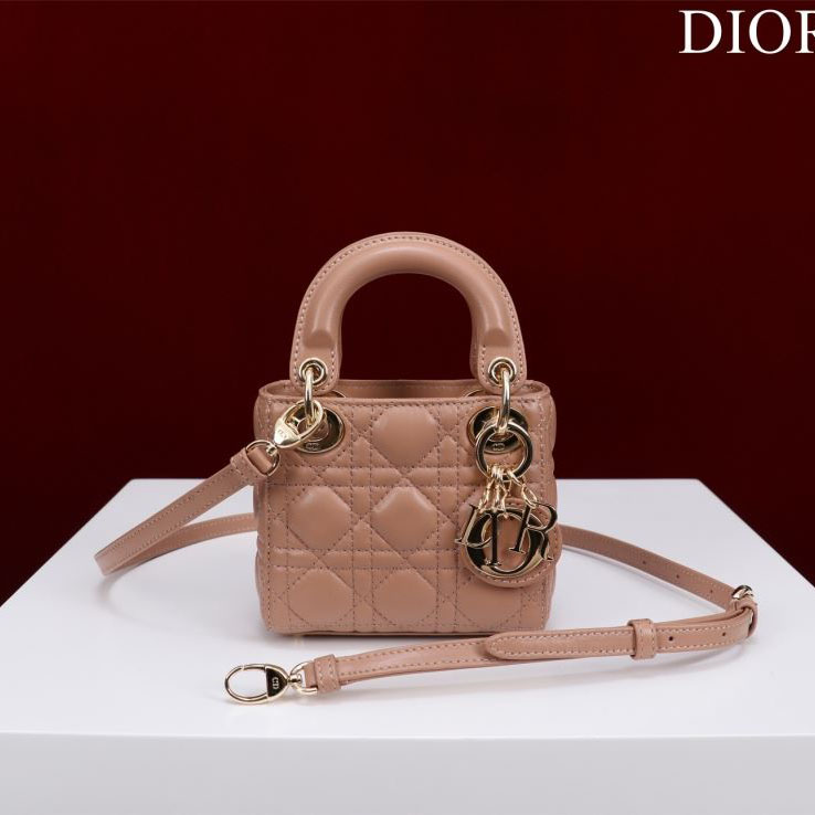 chr1st1an D10r my lady bags